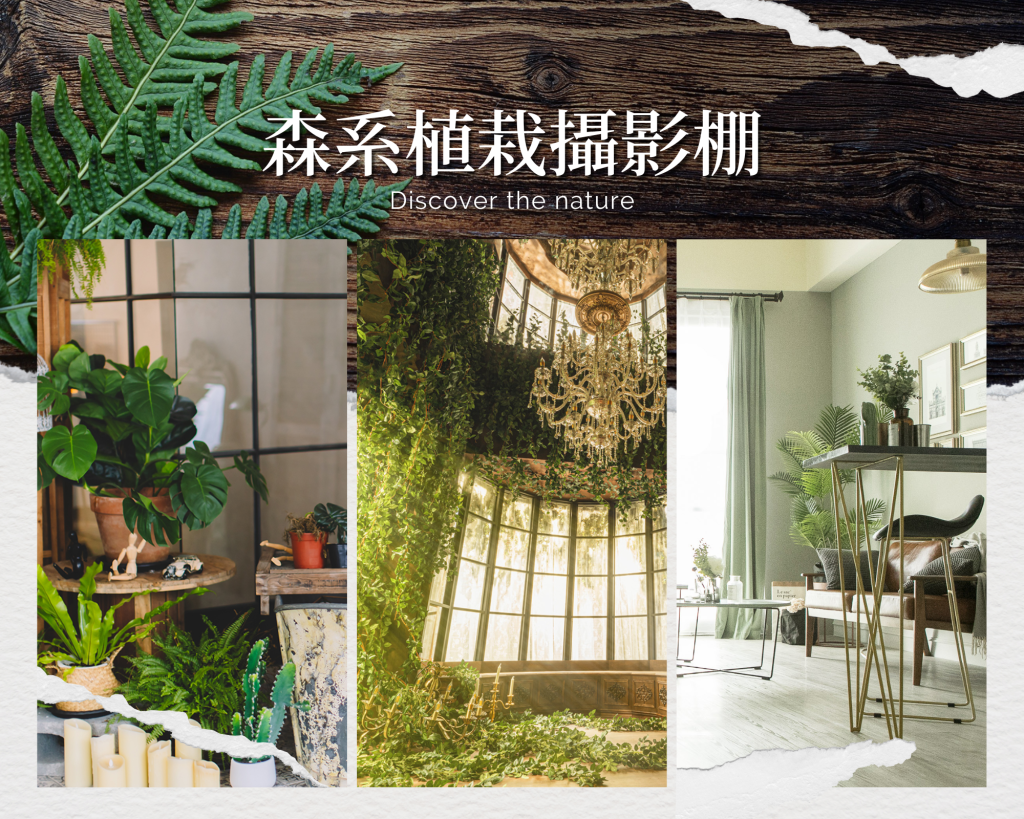 森系植栽攝影棚。最療癒人心的小清新棚景