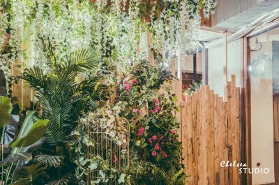 TN-植物區-004_調整大小