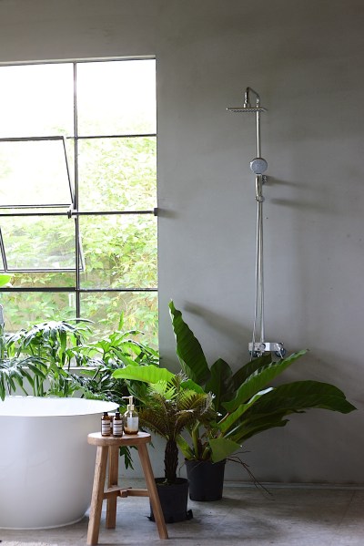 1C23770B-2AE3-4786-AB9A-4D5FBE529CCC