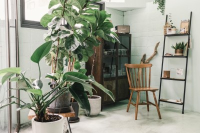 相片 2021-5-29 21 54 05