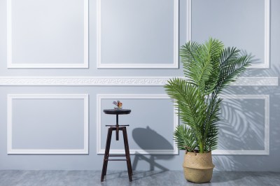 金采攝影棚_單層獨戶40-50坪/白棚/黑棚/綠棚